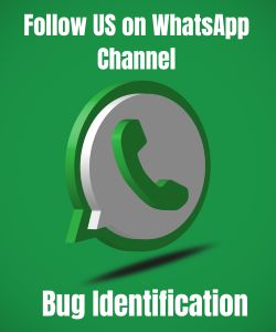 Follow US on WhatsApp